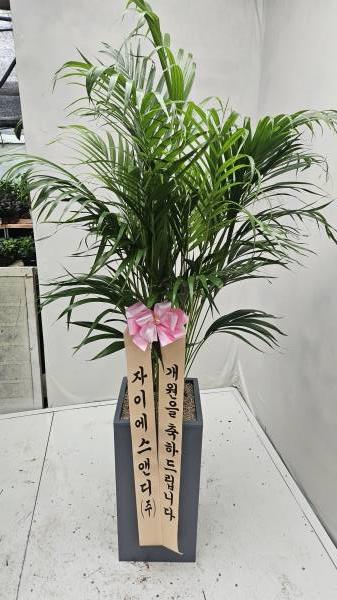 업로드 이미지
