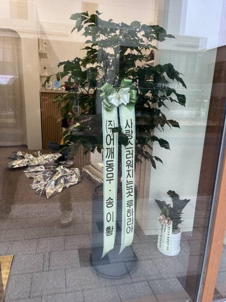 업로드 이미지