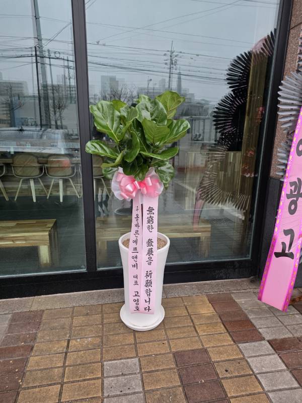 업로드 이미지