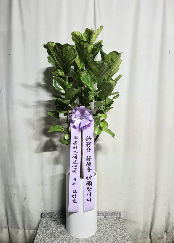 업로드 이미지
