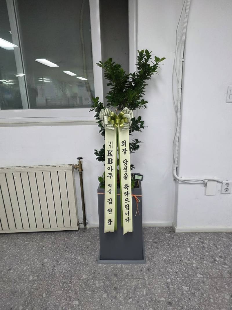 업로드 이미지