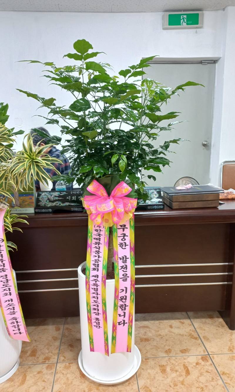 업로드 이미지
