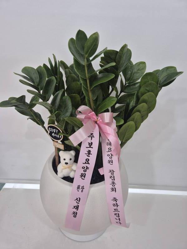 업로드 이미지