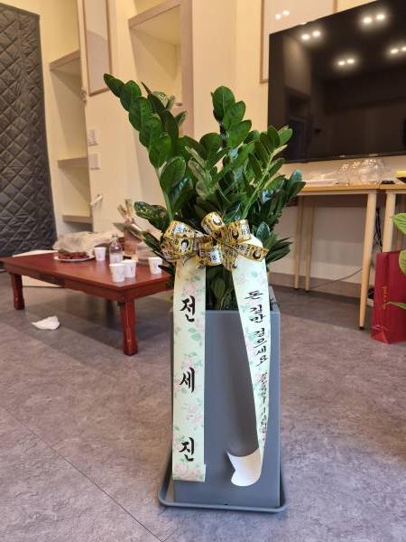 업로드 이미지