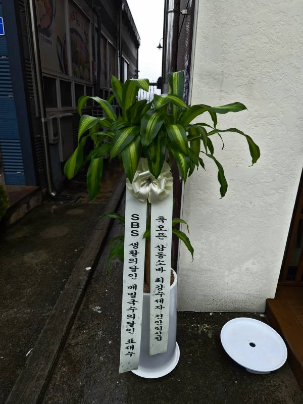 업로드 이미지