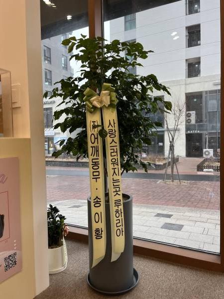 업로드 이미지