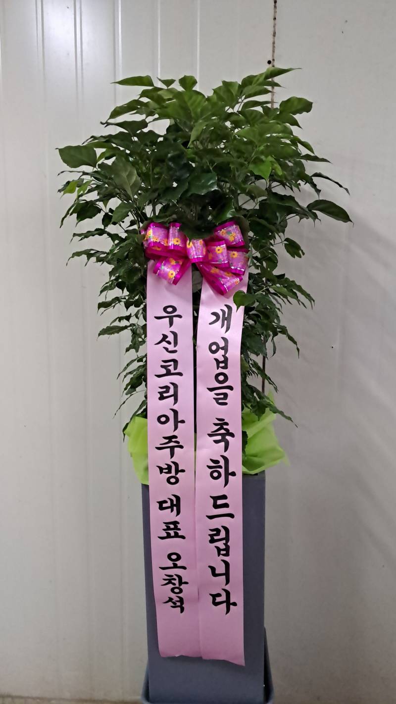업로드 이미지