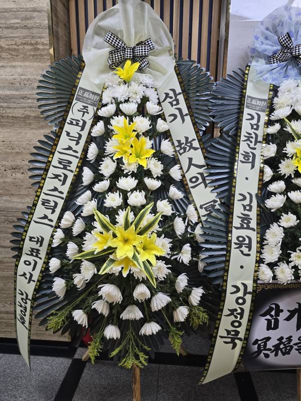업로드 이미지