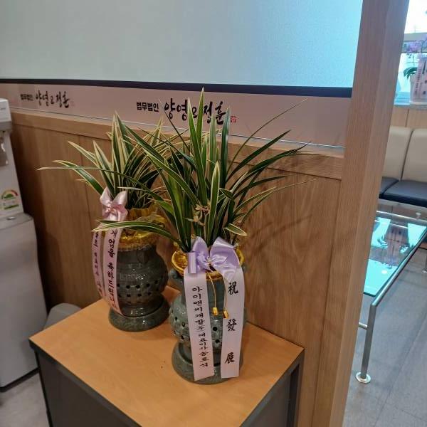 업로드 이미지