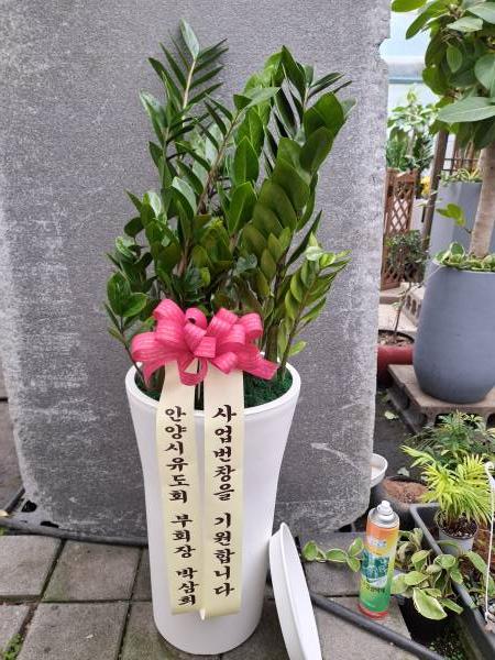업로드 이미지