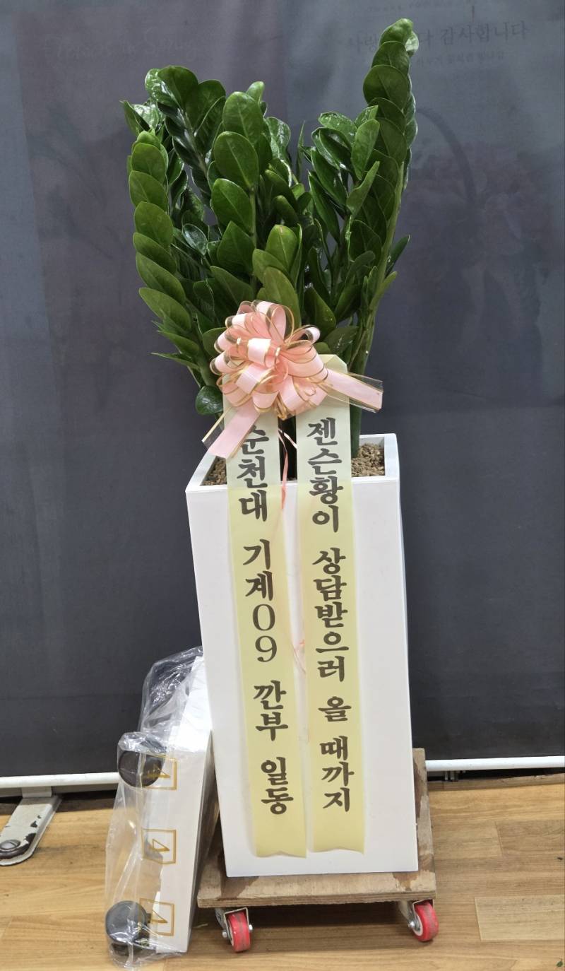 업로드 이미지