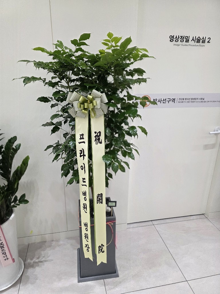 업로드 이미지