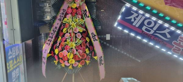 업로드 이미지