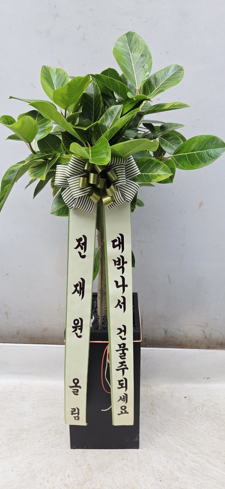 업로드 이미지