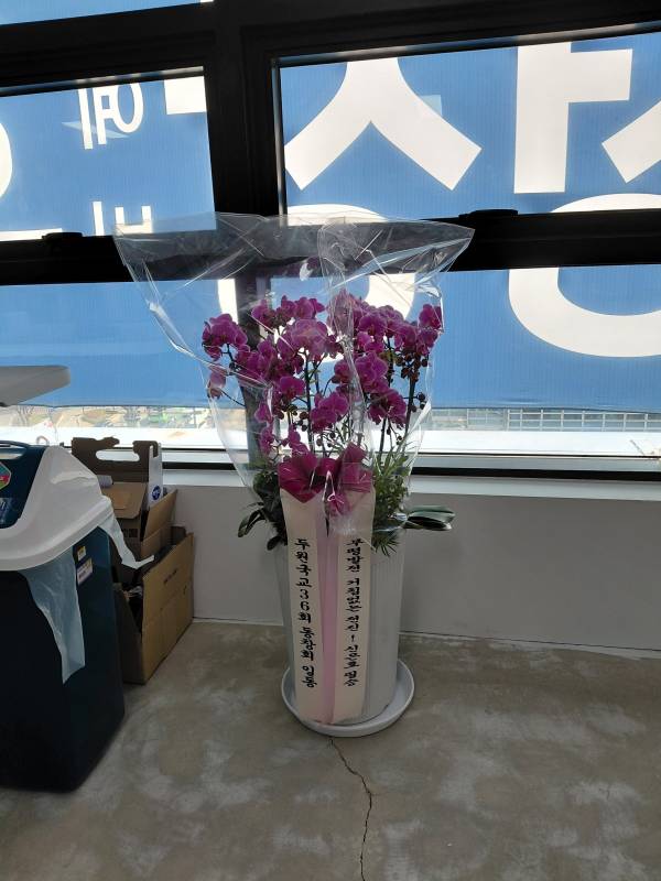 업로드 이미지