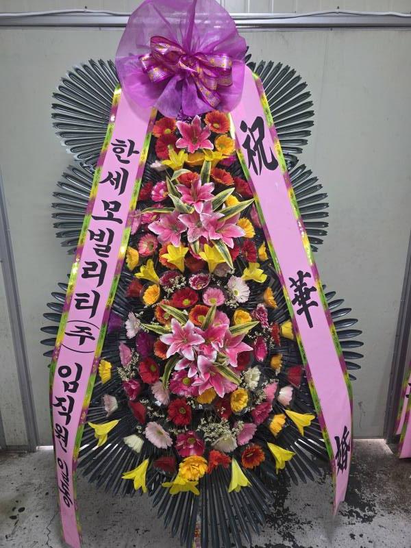 업로드 이미지