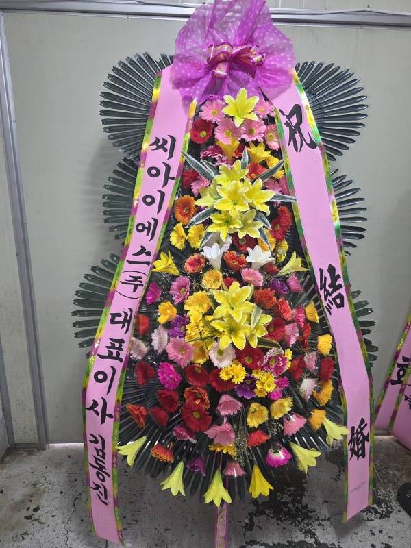 업로드 이미지