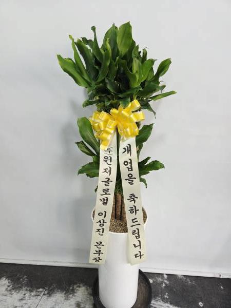 업로드 이미지