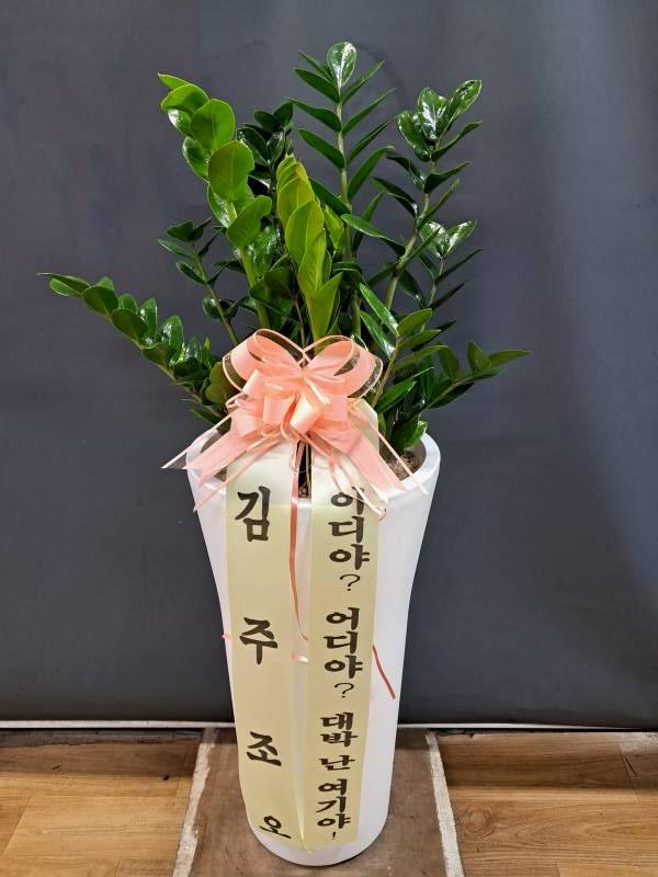 업로드 이미지