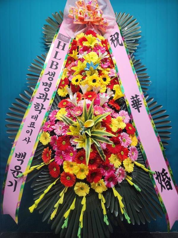 업로드 이미지
