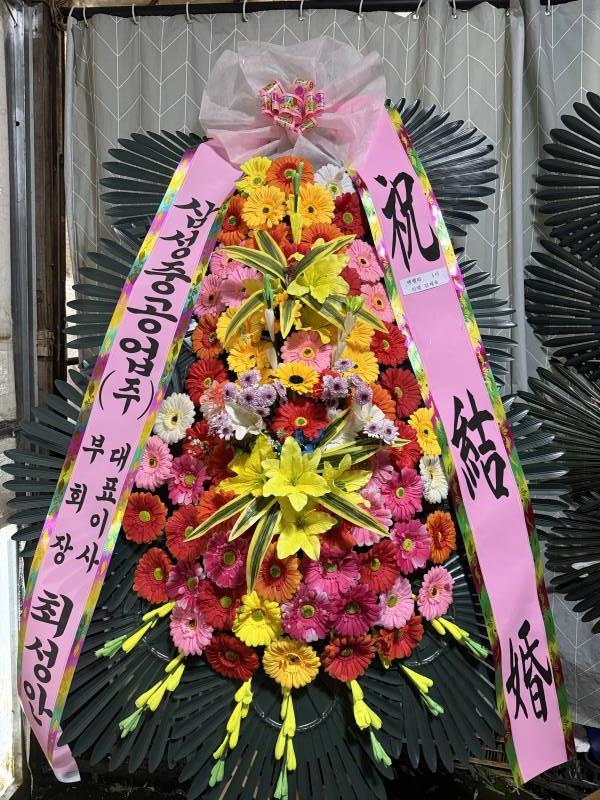 업로드 이미지