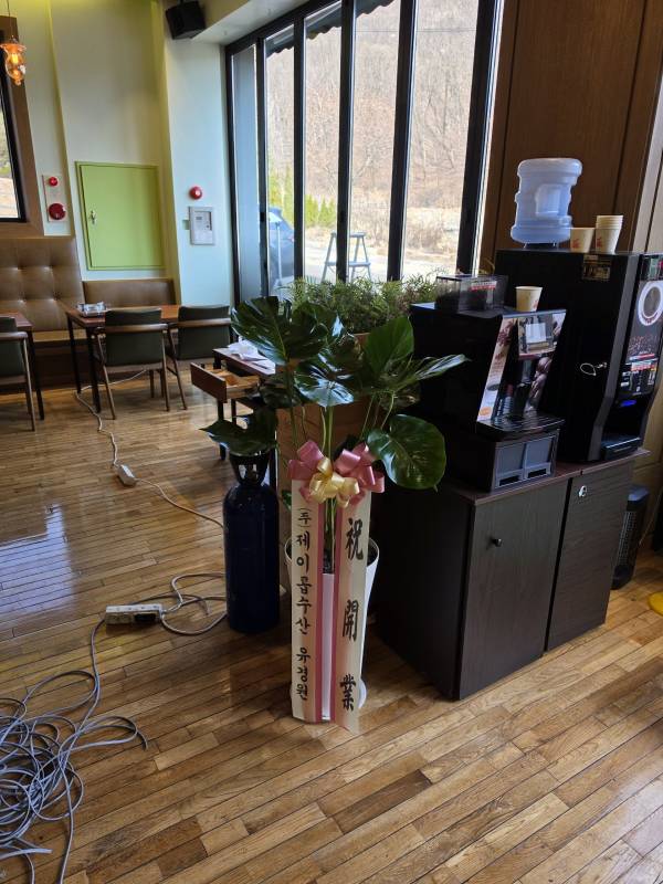 업로드 이미지