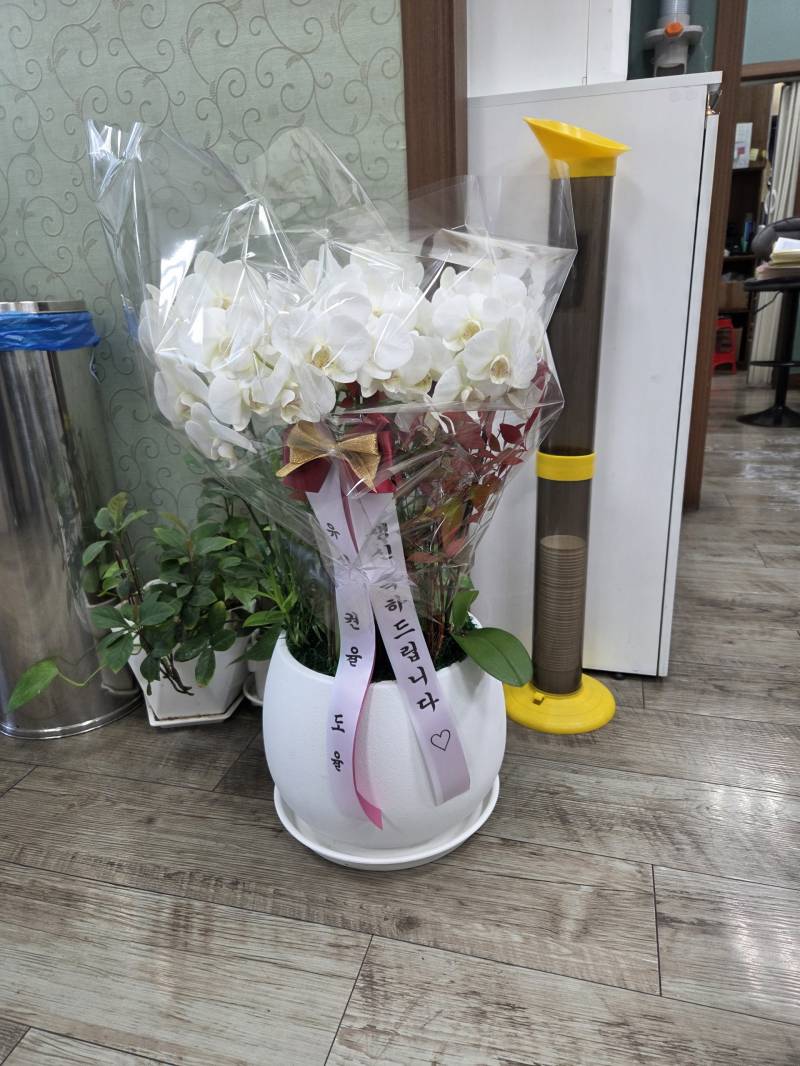업로드 이미지