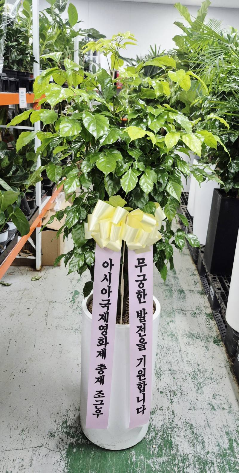 업로드 이미지