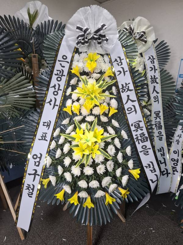 업로드 이미지
