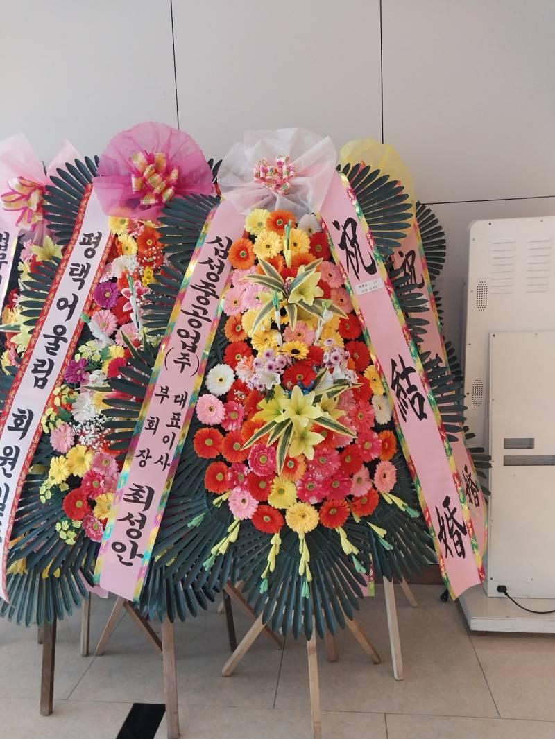 업로드 이미지