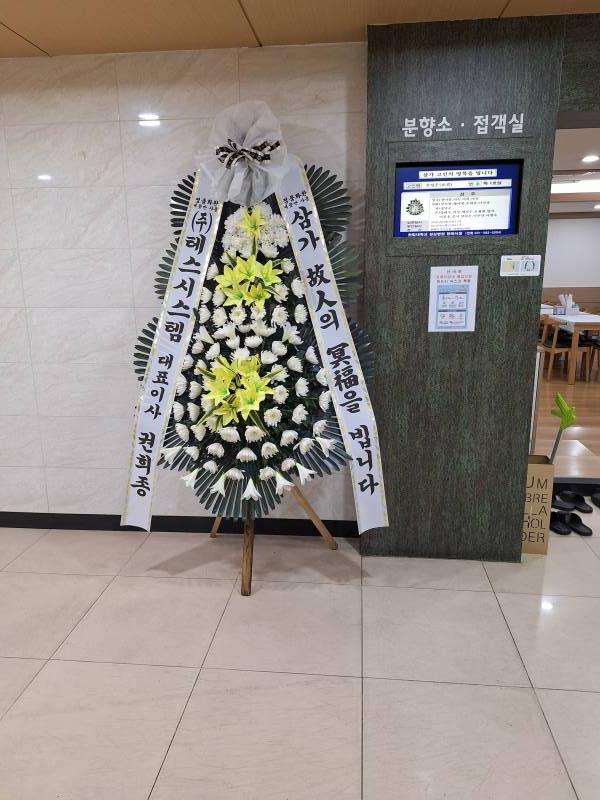 업로드 이미지