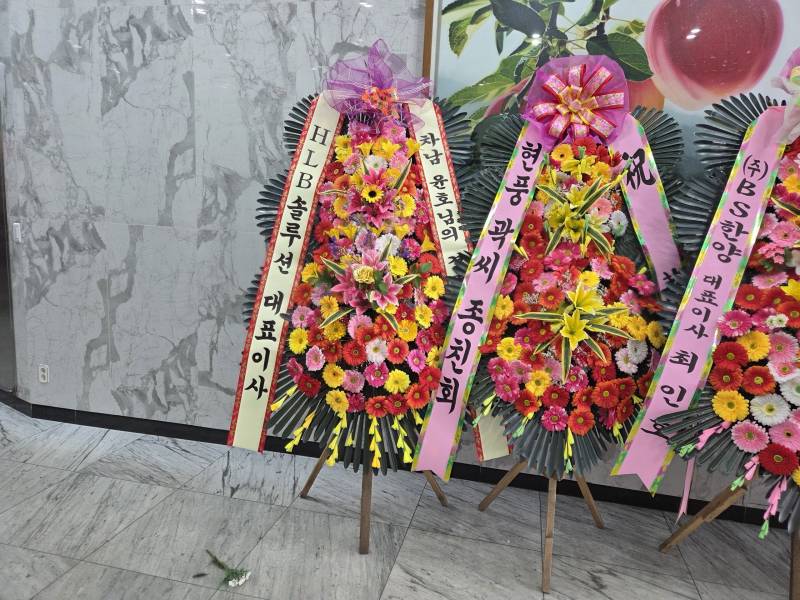 업로드 이미지
