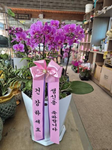 업로드 이미지