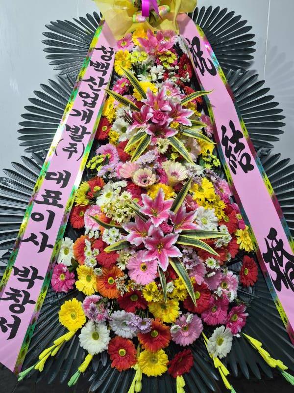 업로드 이미지