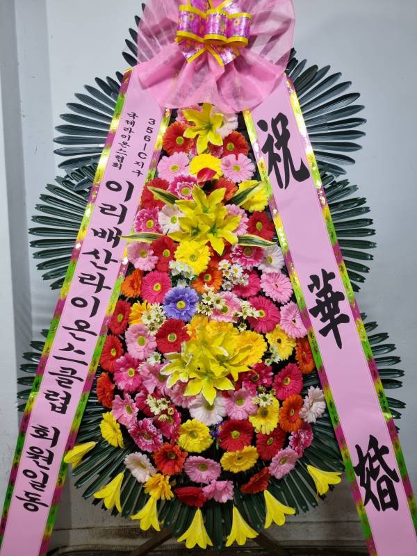 업로드 이미지