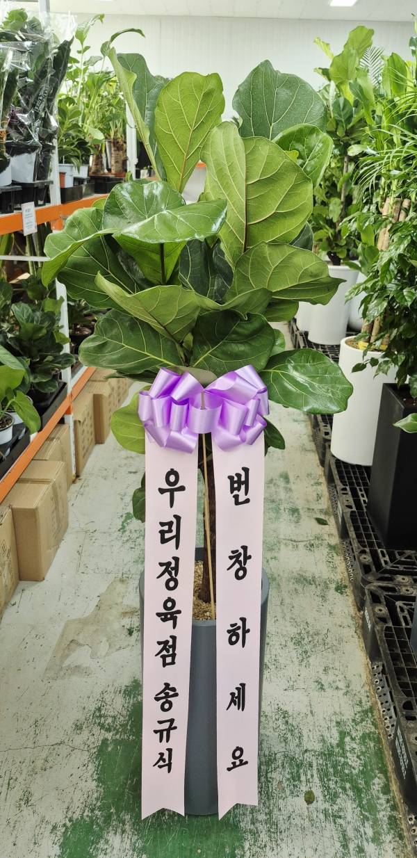 업로드 이미지