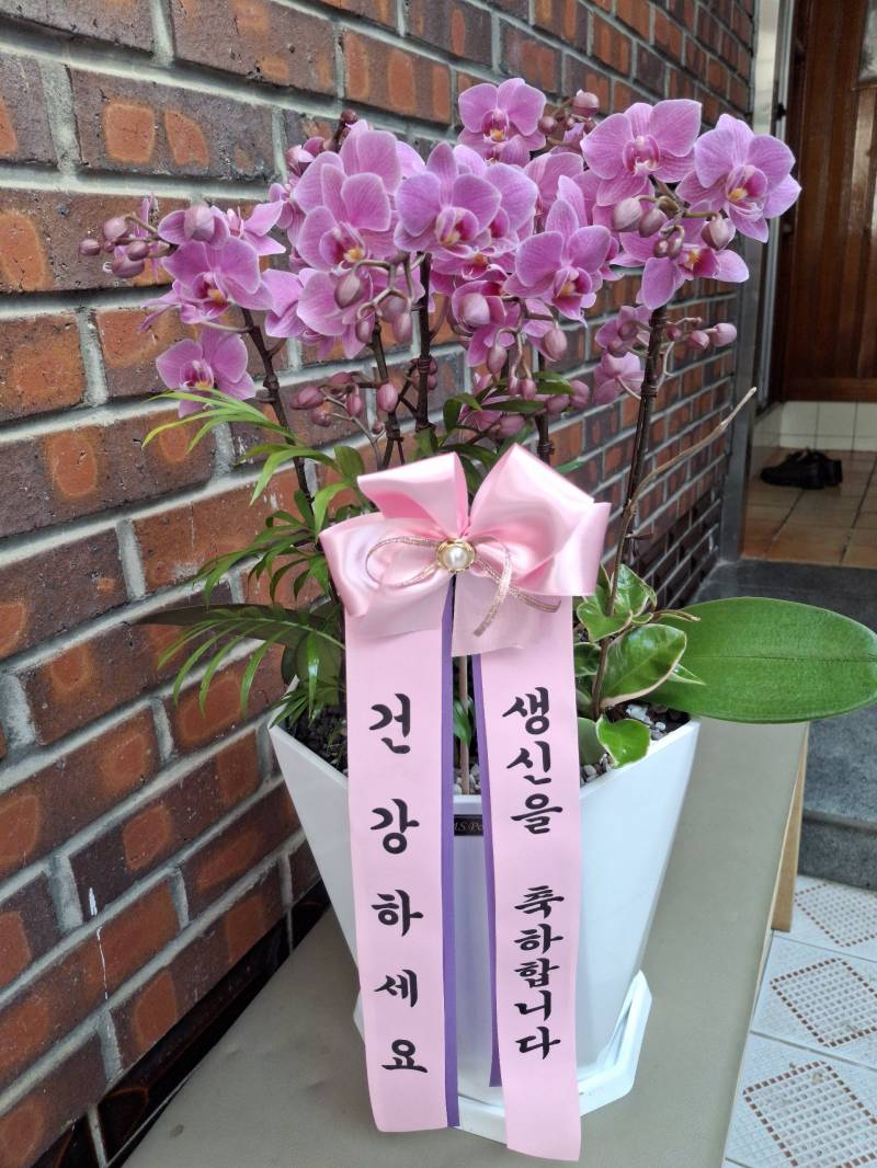 업로드 이미지