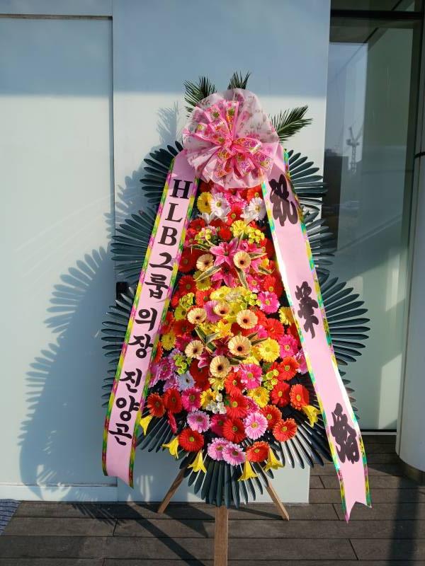 업로드 이미지