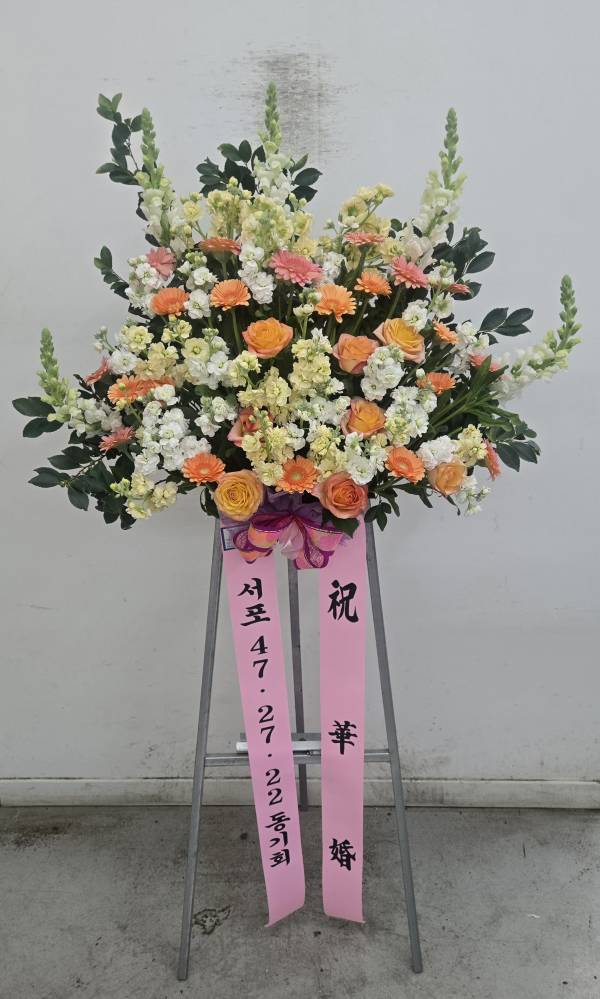 업로드 이미지