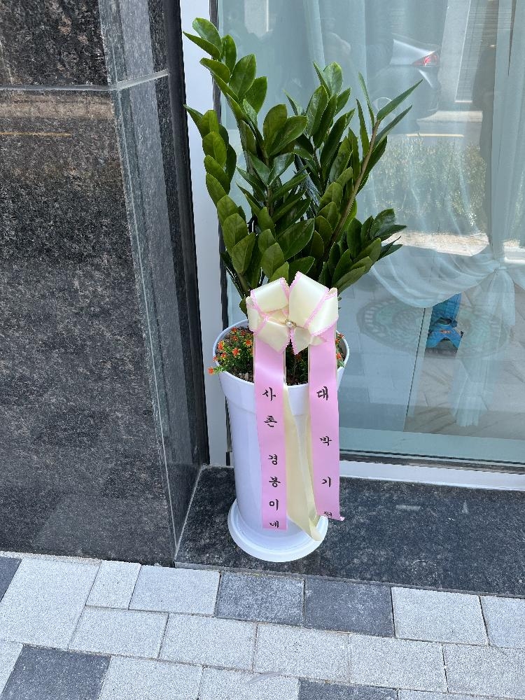 업로드 이미지