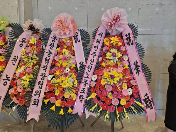 업로드 이미지
