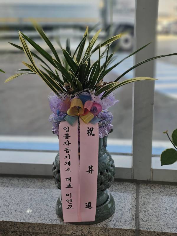 업로드 이미지