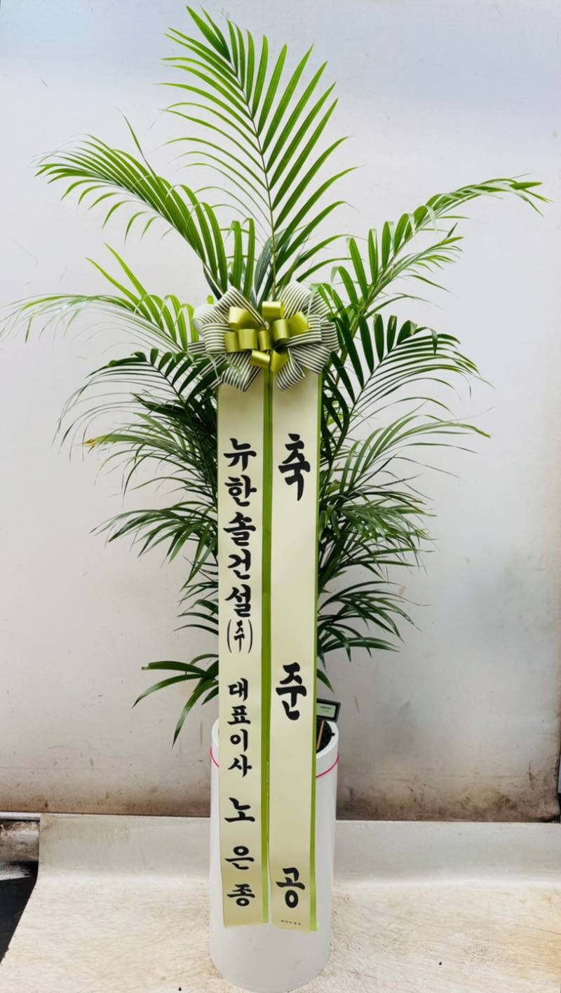 업로드 이미지