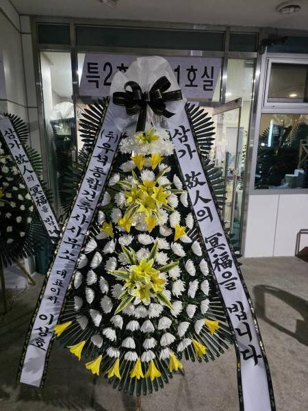 업로드 이미지