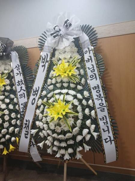 업로드 이미지
