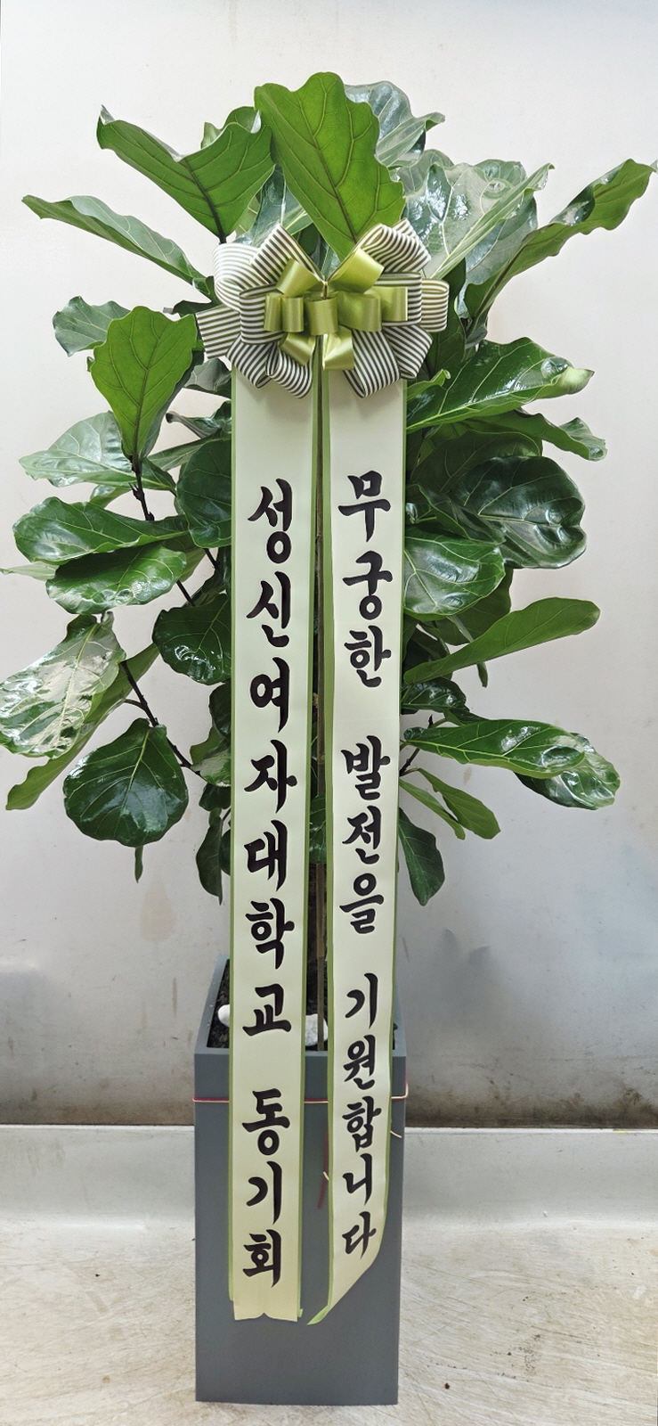 업로드 이미지