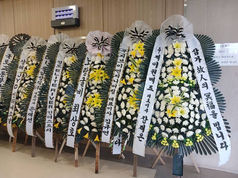 업로드 이미지