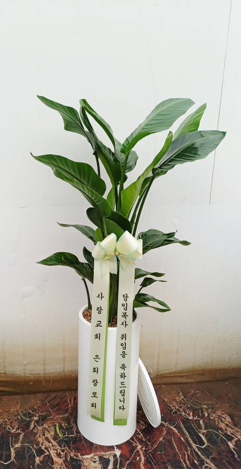 업로드 이미지