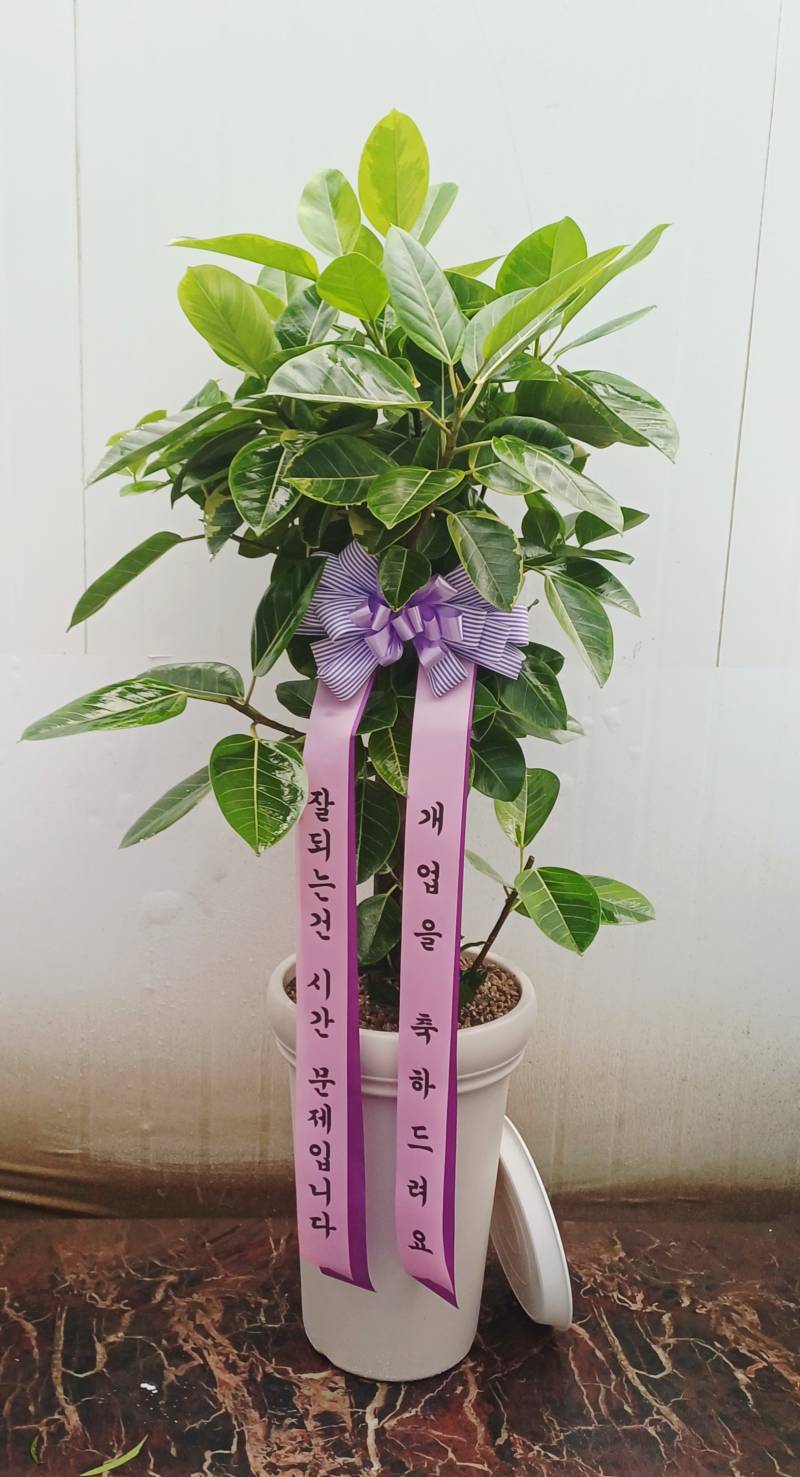 업로드 이미지