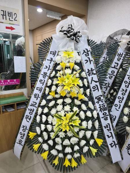 업로드 이미지